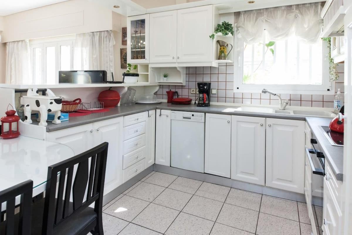 Classical Beauty 3Bd Apt In Peacefull Nea Filothei Афіни Екстер'єр фото